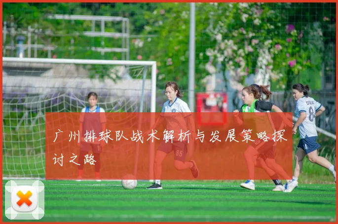 广州排球队战术解析与发展策略探讨之路