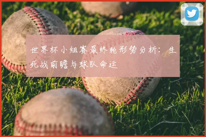 世界杯小组赛最终轮形势分析:生死战前瞻与球队命运