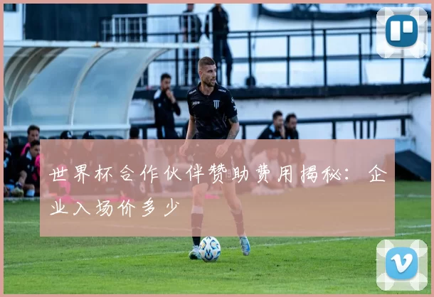 世界杯合作伙伴赞助费用揭秘：企业入场价多少