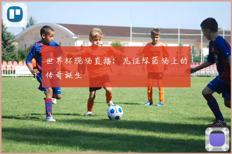 世界杯现场直播：见证绿茵场上的传奇诞生