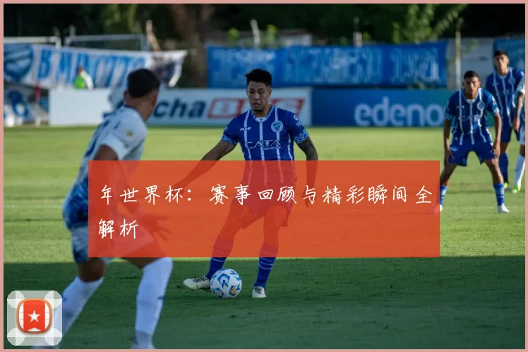 年世界杯:赛事回顾与精彩瞬间全解析