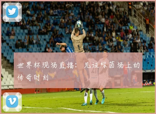 世界杯现场直播:见证绿茵场上的传奇时刻