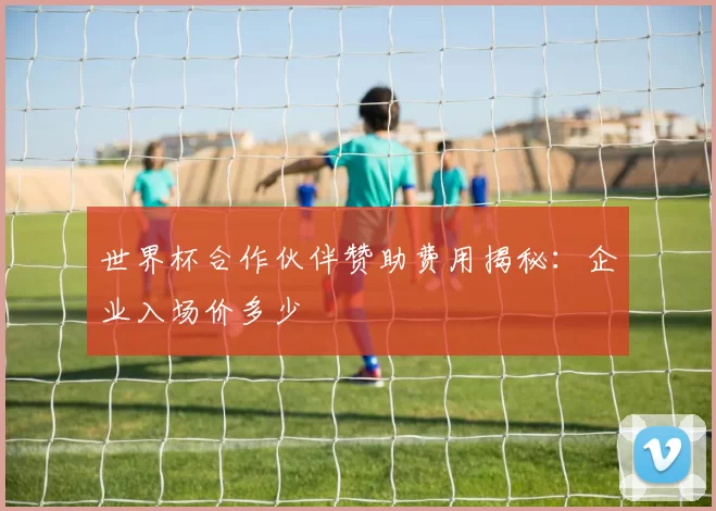 世界杯合作伙伴赞助费用揭秘：企业入场价多少