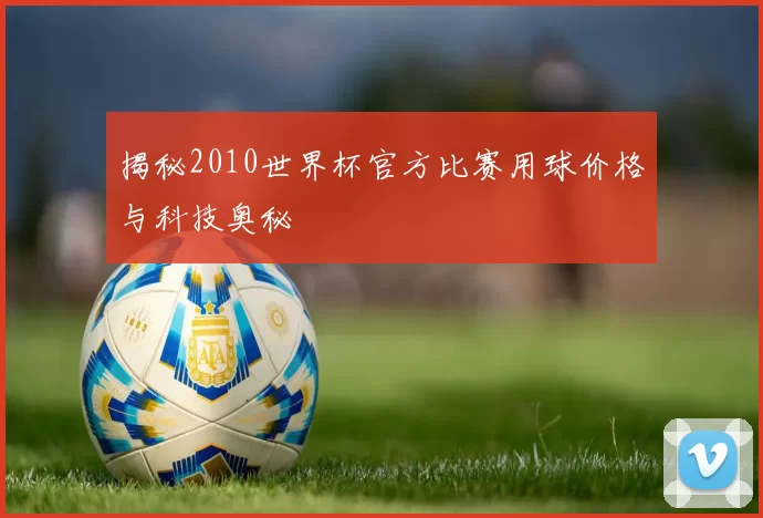 揭秘2010世界杯官方比赛用球价格与科技奥秘