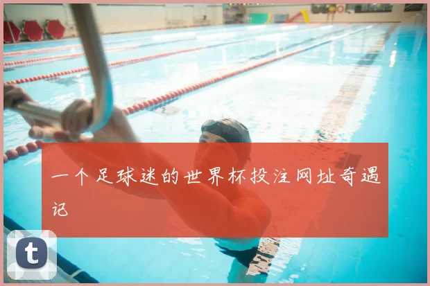 一个足球迷的世界杯投注网址奇遇记