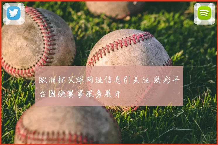 欧洲杯买球网址信息引关注 购彩平台围绕赛事服务展开