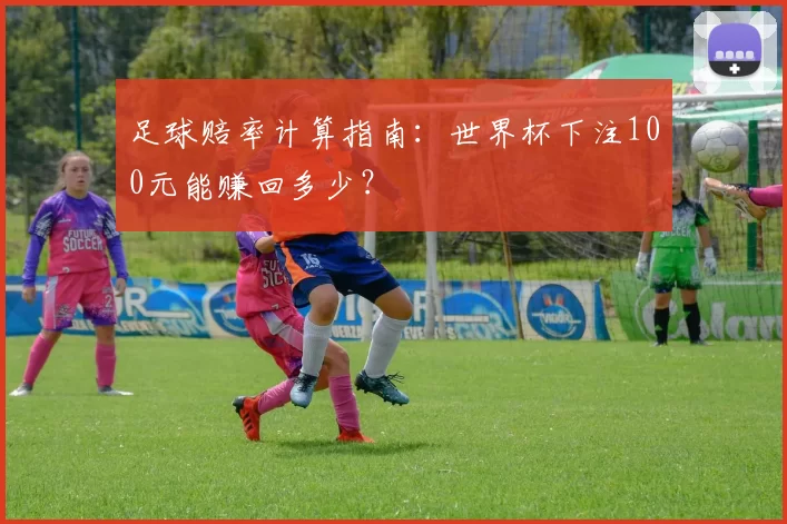 足球赔率计算指南：世界杯下注100元能赚回多少？