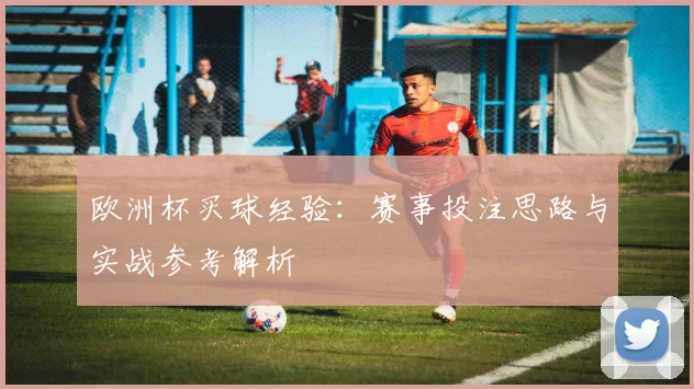 欧洲杯买球经验：赛事投注思路与实战参考解析