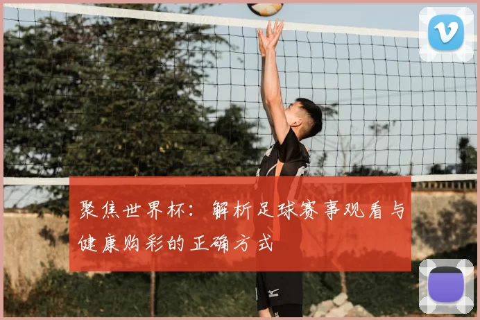 聚焦世界杯：解析足球赛事观看与健康购彩的正确方式