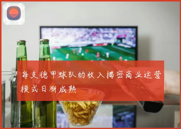 每支德甲球队的收入揭密商业运营模式日渐成熟