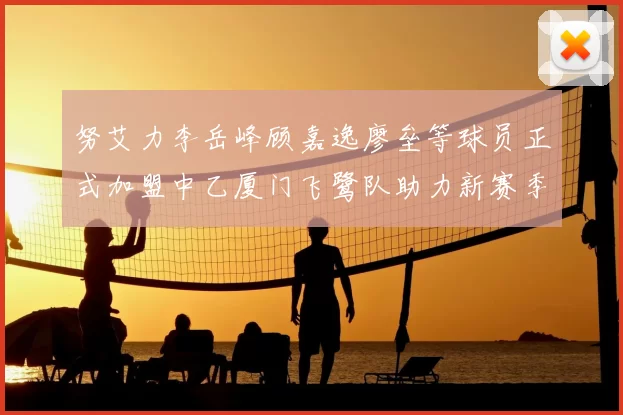 努艾力李岳峰顾嘉逸廖垒等球员正式加盟中乙厦门飞鹭队助力新赛季