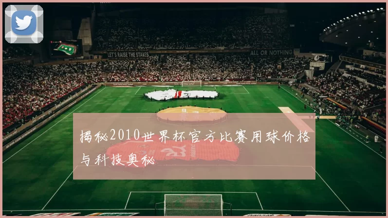 揭秘2010世界杯官方比赛用球价格与科技奥秘