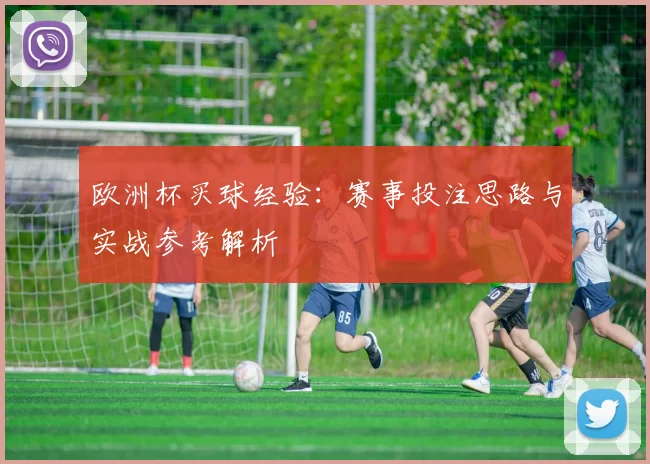 欧洲杯买球经验：赛事投注思路与实战参考解析