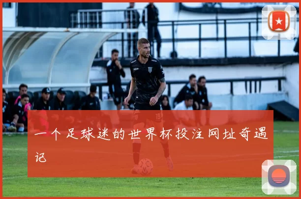 一个足球迷的世界杯投注网址奇遇记