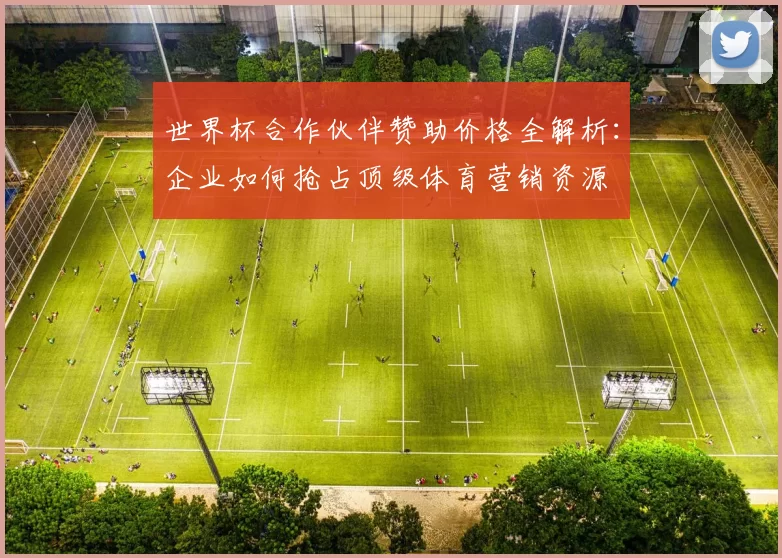 世界杯合作伙伴赞助价格全解析：企业如何抢占顶级体育营销资源