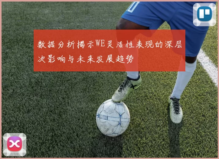 数据分析揭示WE灵活性表现的深层次影响与未来发展趋势